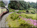 NZ8203 : North Yorkshire Moors Railway, Murk Esk Valley by David Dixon