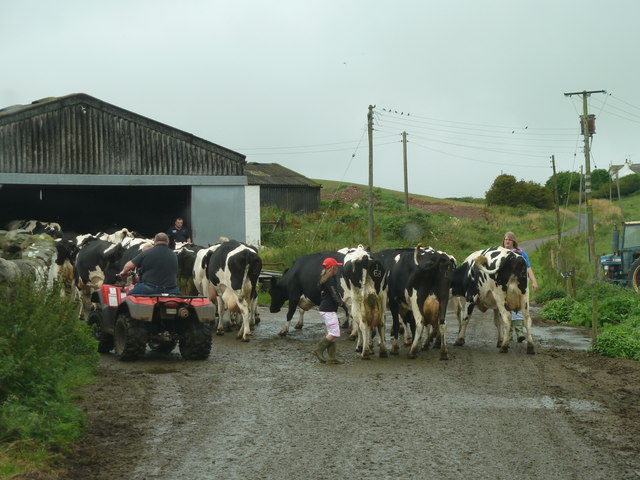 Milking Time