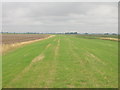 SE8522 : Footpath on the River Trent floodbank by JThomas