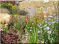 SK8608 : Oakham sensory garden by Stephen Craven