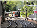 SE7984 : North Yorkshire Moors Railway by David Dixon