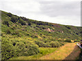 SE8497 : North Yorkshire Moors Railway, Fen Moor by David Dixon