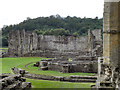 SE5785 : Rievaulx Abbey by David Dixon