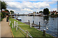 SU8586 : Thames Path, Marlow, Buckinghamshire by Christine Matthews