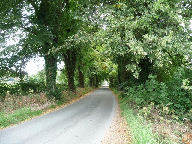 A fine approach to Henley Hall