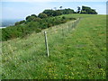 TQ1312 : The South Downs scarp by Chanctonbury Ring by Marathon