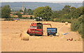 SO7502 : Harvest Time nr Cam and Dursley by roger geach