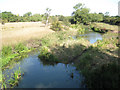 SP2181 : River Blythe north of Patrick Bridge  by Robin Stott