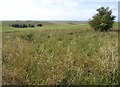 SU0555 : Downland near Urchfont Hill by Derek Harper