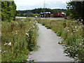 SK6178 : Cycle lane by Richard Croft