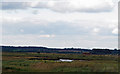 TM3338 : Looking to Bawdsey Marshes by Roger Jones