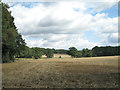 SP2379 : Low-lying land west of Berkswell Hall lake  by Robin Stott