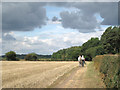 SP2379 : A Sunday morning walk from Berkswell  by Robin Stott