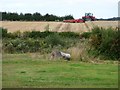 SE3836 : Harvesting a cereal crop by Christine Johnstone