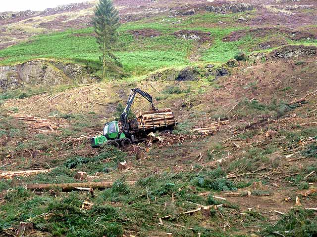 Forest forwarder working above Loch Frisa