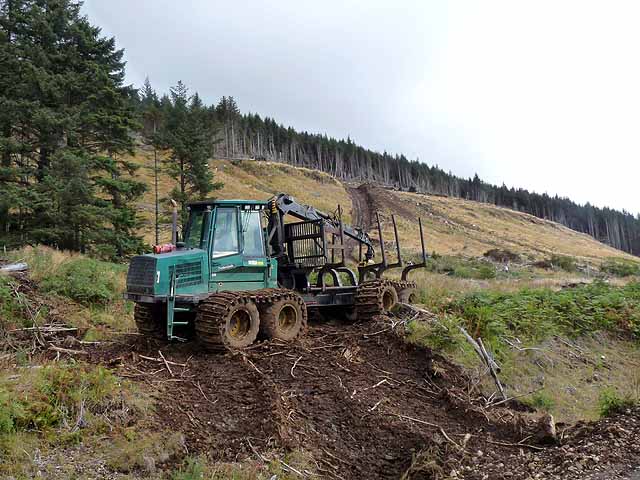 Forest forwarder near Lettermore