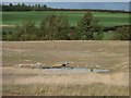 SE3920 : Pond on former spoil heap, former Sharlston Colliery by Christine Johnstone