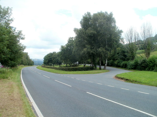 Tree-lined picnic area, Talybryn