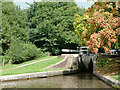 SJ8835 : Meaford Bottom Lock, Staffordshire by Roger  D Kidd