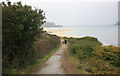 SW9276 : Along the Camel Estuary on a wet day by roger geach