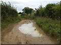 TF7723 : The Peddars' Way near Little Massingham by Richard Humphrey