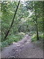 NZ8201 : View up the incline by Pauline E