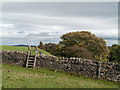 NZ0747 : Footpath and stile north of Charlton Howl by Trevor Littlewood