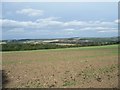 SE2809 : Large field on the north side of Upper Field Lane. by Christine Johnstone