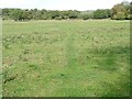 SE2612 : Footpath through the thistles, Dearne Valley by Christine Johnstone