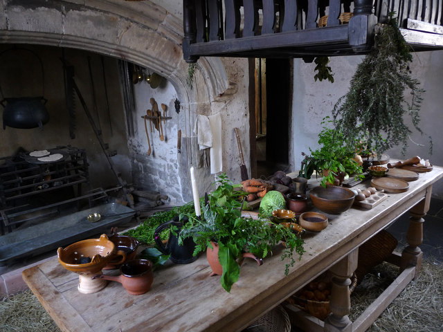 The Kitchen, Plas Mawr