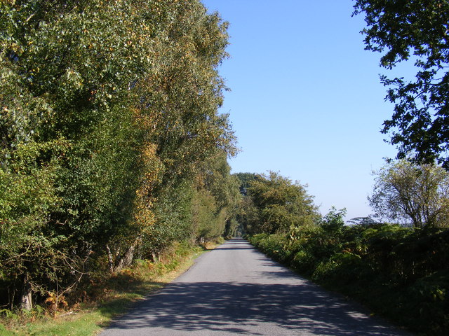 Road to Butley & Boyton