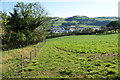 SN6180 : Crops on the side of the Rheidol valley by Bill Boaden