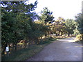 TM3545 : Footpath to Melton Road & Entrance to Poplar Park Equestrian Centre by Geographer