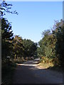 TM3545 : Footpath to Melton Road & Entrance to Poplar Park Equestrian Centre by Geographer