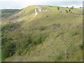 SK1871 : White Cliff at Monsal Head by M J Richardson