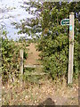 TM3471 : Footpath to Church Road, Heveningham by Geographer