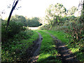 TM2853 : Footpath by Byng Bridge, Pettistree by Evelyn Simak