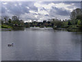 SD9204 : Alexandra Park Boating Lake by David Dixon