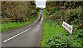 D4202 : The Quarterlands Road, Islandmagee (1) by Albert Bridge