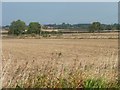 SK7386 : Stubble fields south of Rose Cottage by Christine Johnstone