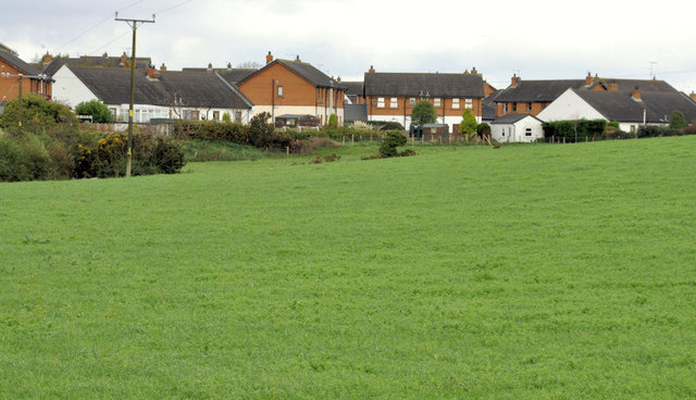 Houses and fields, Newtownards