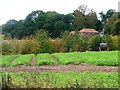 SK6782 : Field with pipe reel, near Forest Farm by Christine Johnstone