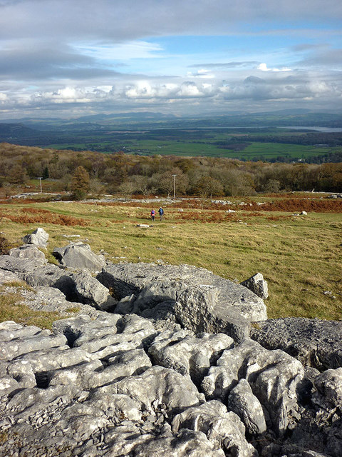 Limestone pavement on Bishop's or Tithe Allotment, Hampsfell