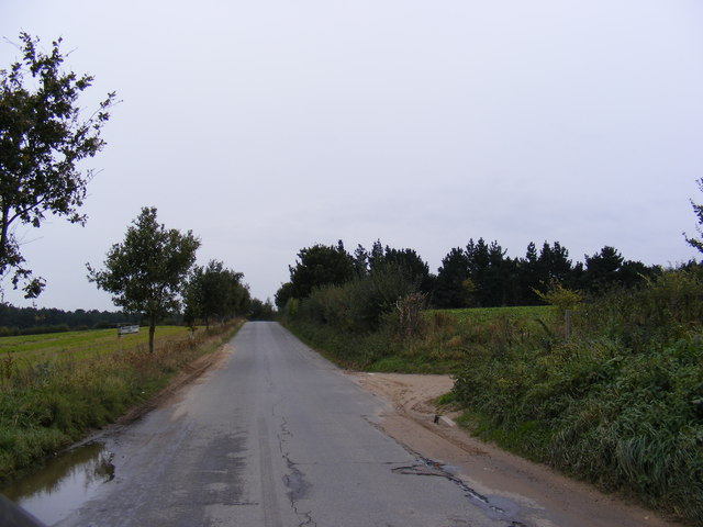 The road to Butley & Hollesley