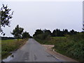 TM3653 : The road to Butley & Hollesley by Geographer