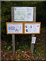 TM1776 : Hoxne Information Board by Geographer