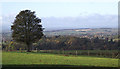 SO8993 : Farmland and woodland near Gospel End, Staffordshire by Roger  D Kidd