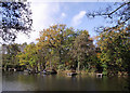 SO8992 : Angling jetties in Baggeridge Country Park near Wombourne by Roger  D Kidd