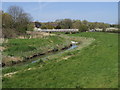 TQ5203 : River Cuckmere by Shaun Ferguson