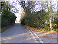 TM2171 : Worlingworth Road & Chapel Lane Postbox by Geographer